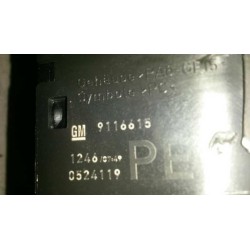 Recambio de mando luces para opel combo (corsa c) 1.3 16v cdti cat (z 13 dt / ln9) referencia OEM IAM 9116615  