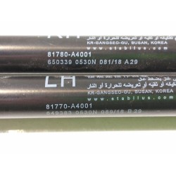 Recambio de amortiguadores maletero / porton para kia carens ( ) basic referencia OEM IAM 81780A4001  81770A4001