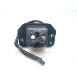 Recambio de cerradura maletero / porton para ford kuga ii (dm2) 2.0 tdci 4x4 referencia OEM IAM  7T4A843102 